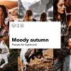 Moody autumn - kolekcja presetów lightroom (mobile i desktop)
